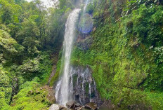 Akan Dijadikan Destinasi Wisata Unggulan: Desa Air Sempiang Kabupaten Kepahiang Kembangkan Air Terjun Banyu Se