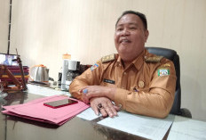 Dilirik Pengusaha Lokal, Sistem Resi Gudang di Kepahiang Segera Dioperasikan