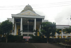  Remunerasi PPPK Nakes RSUD Kepahiang Berbeda dari Nakes PNS 