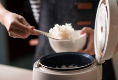 Tips Rice Cooker Hemat Listrik Meski Digunakan Setiap Hari