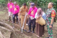 Desa Daspetah II Tanam Jagung Seluas 1 Hektare: Dukung Ketahanan Pangan dan Swasembada Pangan 2025 