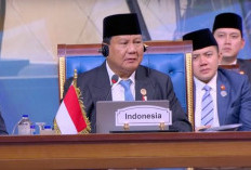 Dalam Acara KTT D-8, Presiden Prabowo Sebut Negara Muslim Kurang Kompak