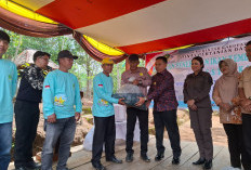 353.000 Bibit Ikan Mas Dilepas di Danau Picung hingga Sungai Ketahun