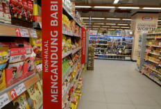 Malaysia Tarik Produk Indonesia Halal Mengandung Unsur Babi: Ini Mereknya!