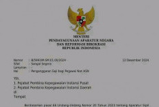 Baru Terbit, Simak Isi Surat MenPAN-RB Rini soal Nasib Honorer Tahun 2025 