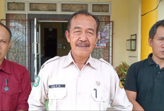 Dinas Pertanian Kepahiang Targetkan 1 Ha Sawah Hasilkan 5 Ton Gabah