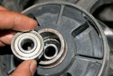 Kenali Penyebab Bearing Roda Motor Cepat Rusak 