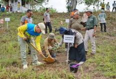 Gubernur Rohidin Sebut Hanya Sekitar 33 Persen Tutupan Lahan dalam Kondisi Baik