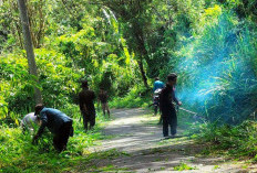 Lagi, Desa Temdak Gotong Royong Tebas Bayang Jalan Kabupaten