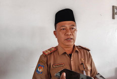 BKD Provinsi Bengkulu Tunggu Petunjuk untuk Rekrutmen CPNS 