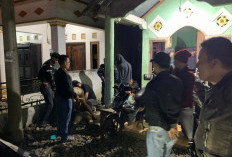 Polsek Padang Ulak Tanding Berhasil Tangkap DPO Kasus Curat