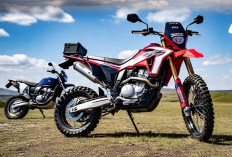 6 Seri Honda CRF: Motor Trail Cocok untuk Petualang, Mana yang Lebih Unggul? 