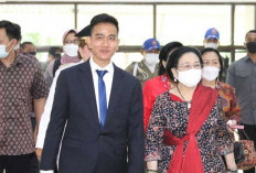 Gugatan Hasil Pilpres di MK, Megawati Ajukan Surat Amicus Curiae, Ini Komentar Gibran