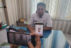 Tunggakan PBB-P2 Tembus Rp 600 Juta: BKD Kepahiang Minta Ini ke Wajib Pajak