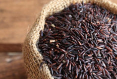 4 Manfaat Ketan Hitam untuk Kesehatan Anak 