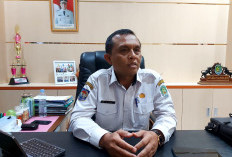 BKN Sudah Selesaikan Penetapan NIP CPNS Bengkulu Tengah 2024