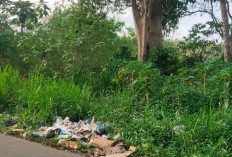 Berserakan, Sampah dan Bangkai Ayam di Pinggir Jalan Gunung Agung 