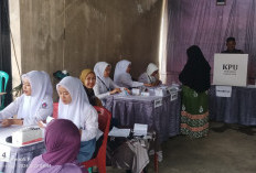 Unik! Petugas KPPS di Kepahiang Pakai Seragam SMA 