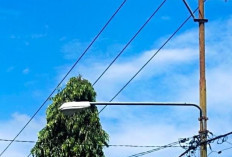 Perawatan 1.700 PJU di Kepahiang Tak Cukup Anggaran