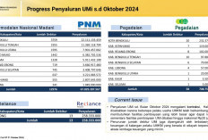 Pembiayaan Ultra Mikro di Bengkulu Capai Rp 68,8 Miliar, Berikut Besarannya Per Kabupaten 