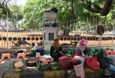 Bermain Seru dengan Rusa di Balai Semarak Bengkulu, Destinasi Wisata Edukasi yang Menyenangkan