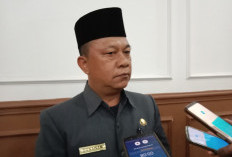 Nasib Ribuan Honorer Pemprov Segera Ditentukan