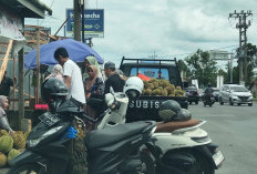 Penjual Durian Mulai Mengisi Trotoar Jalan Kepahiang 