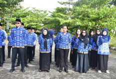 Pengangkatan PPPK Tahap I Berproses di BKN