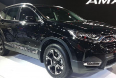 4 Mobil Diesel Paling Irit yang Bisa Jadi Pilihan