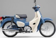 Honda Super Cub 50 Final Edition, Terinspirasi Versi 1966