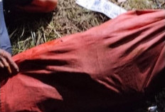 Pelajar SD di Kabupaten Kepahiang Hanyut di Sungai Musi Akhirnya Ditemukan: Begini Kondisinya