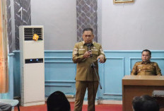 Bupati Bengkulu Tengah Akan Kaji Usulan Penggabungan OPD