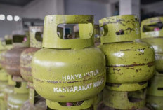 Pemprov Bengkulu Usulkan Kuota LPG Subsidi 78.000 MT untuk Tahun 2025