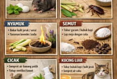 Cara Alami Usir Hama Rumah Tanpa Racun: Aman untuk Keluarga dan Hemat Kantong 