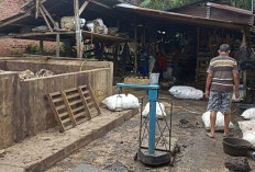Petani Karet Meradang, Harga Karet Merosot Tajam