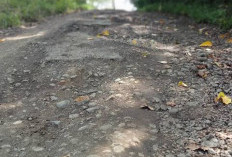 Jalan Desa Sungai Jernih Kepahiang Rusak Parah: Ada Pelajar Kecelakaan hingga Dibawa ke RS M. Yunus Bengkulu