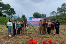Jalankan Program Sade Sahe, Desa Karang Endah Kabupaten Kepahiang Tanam Jagung 