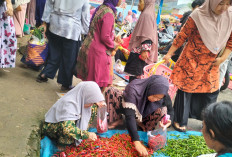 Harga Cabai Merah Naik, Tomat Turun