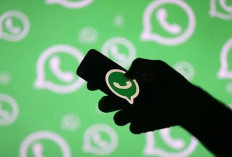 WhatsApp Ubah Warna Centang Tanda Verifikasi Akun