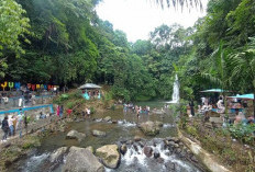 Jumlah Pengunjung Wisata Kabawetan Kepahiang Menurun? Ini Penyebabnya!