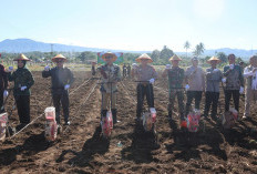 Dukung Swasembada Pangan Nasional: Polres Kepahiang dan Pemkab Tanam Jagung di Lahan BBI