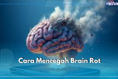 Cara Cegah 'Brain Rot' Akibat Kecanduan Media Sosial