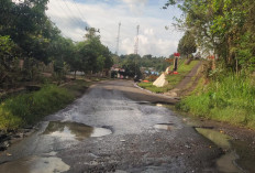 Jalan SMAN 05 Kepahiang Rusak Parah dan Tergenang Air 