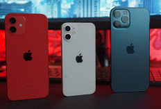 18 Tahun Berkiprah, Iphone Punya Kontribusi Besar Terhadap Pendapatan Apple