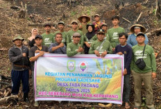 Jalankan Program Ketapang, Pemdes Taba Padang Tanam Jagung