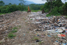  Segini Volume Sampah yang Ditangani DLH Lebong Sepanjang 2024