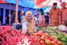Harga Cabai Melonjak, Ini Tindakan Pemprov Bengkulu