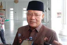 Gubernur Rohidin Sebut Penggunaan Buzzer Dalam politik Merusak Pola Pikir Masyarakat