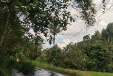 Warga Babakan Bogor Keluhkan Jalan dan Drainase Rusak