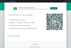Kenali Penyebab WhatsApp Web Tak Bisa Terbuka